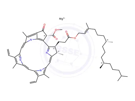 Chemical structure of Chlorophyll A, Divinyl