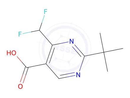 Chemical structure of 2-(Tert-butyl)-4-(difluoromethyl)pyrimidine-5-carboxylic acid