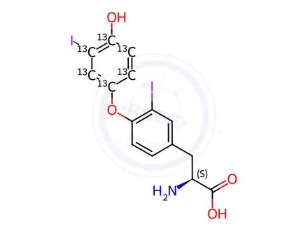 Chemical structure of l-3,3'-Diiodothyronine (t2) (phenoxy-13c6, 99%)