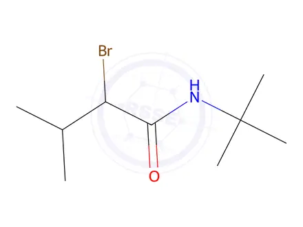 Chemical structure of 2-Bromo-N-tert-butyl-3-methylbutanamide