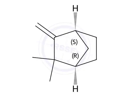 Chemical structure of (+)-Camphene