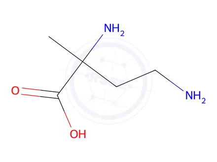 Chemical structure of 2,4-Diamino-2-methylbutanoic acid