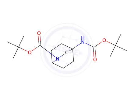 Chemical structure of tert-butyl 4-(tert-butoxycarbonylamino)-2-azabicyclo[2.2.2]octane-2-carboxylate