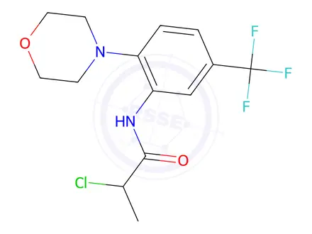 Chemical structure of 2-Chloro-N-(2-morpholino-5-(trifluoromethyl)phenyl)propanamide