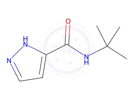 Chemical structure of N-(tert-Butyl)-1H-pyrazole-3-carboxamide