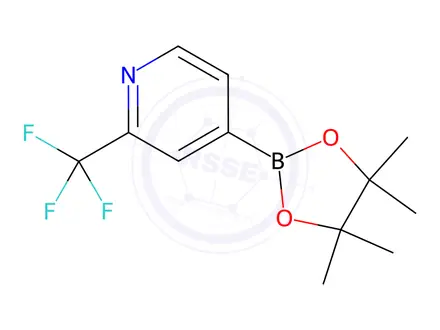 Chemical structure of 2-(TRIFLUOROMETHYL)PYRIDINE-4-BORONIC ACID PINACOL ESTER