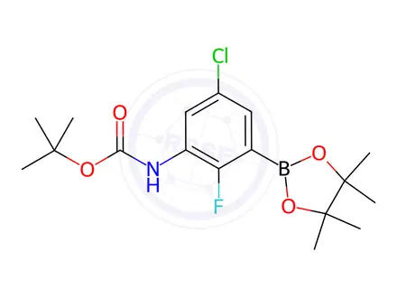 Chemical structure of tert-Butyl (5-chloro-2-fluoro-3-(4,4,5,5-tetramethyl-1,3,2-dioxaborolan-2-yl)phenyl)carbamate