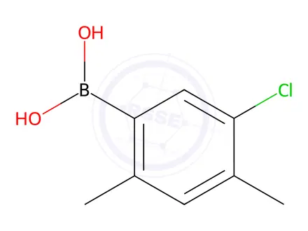 Chemical structure of (5-Chloro-2,4-dimethylphenyl)boronic acid
