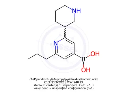 Chemical structure of (2-(Piperidin-3-yl)-6-propylpyridin-4-yl)boronic acid
