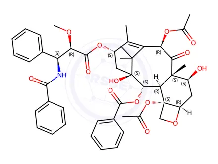 Chemical structure of 2'-O-Methyl Paclitaxel