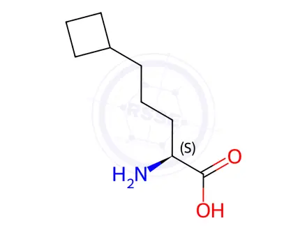 Chemical structure of (S)-2-amino-5-cyclobutylpentanoic acid