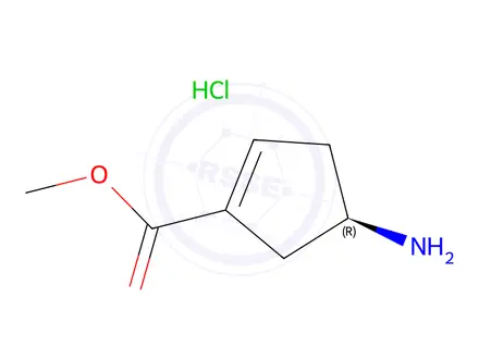 Chemical structure of Methyl (R)-4-aminocyclopent-1-ene-1-carboxylate hydrochloride