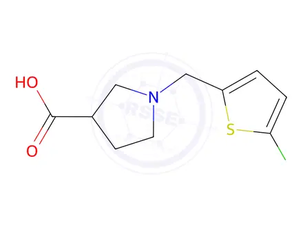 Chemical structure of 1-[(5-Chlorothiophen-2-yl)methyl]pyrrolidine-3-carboxylic Acid