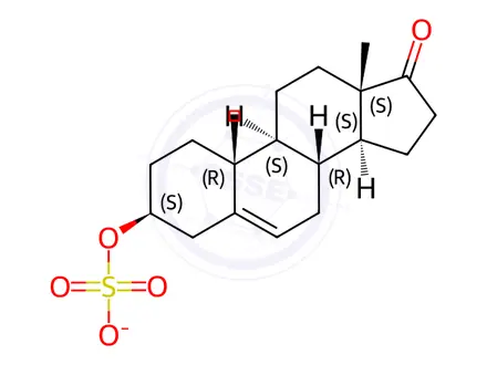 Chemical structure of Dehydroepiandrosterone