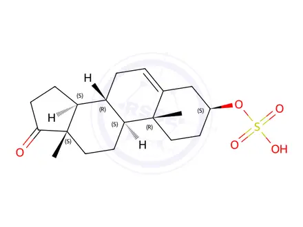 Chemical structure of Dehydroepiandrosterone sulfate