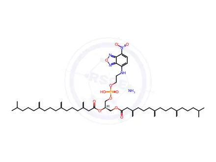 Chemical structure of 4ME 16:0 NBD PE (NBD-DPhPE)