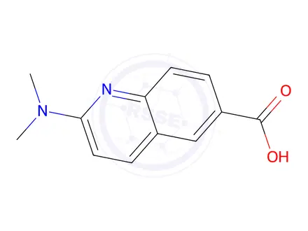 Chemical structure of 2-(dimethylamino)quinoline-6-carboxylic acid