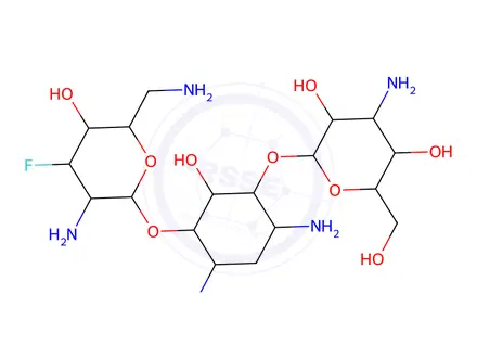 Chemical structure of 3'-deoxy-3'-fluorokanamycin B