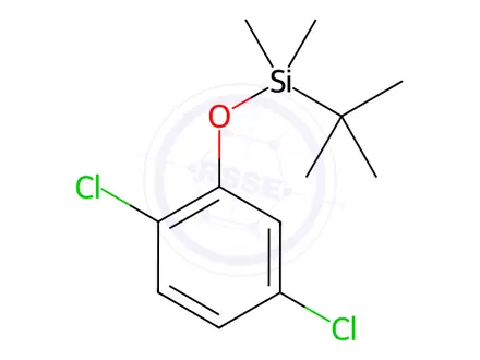 Chemical structure of tert-Butyl(2,5-dichlorophenoxy)dimethylsilane