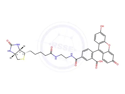 Chemical structure of N-(Biotinylamidoethyl)-fluorescein-5-carboxamide