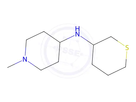 Chemical structure of 1-Methyl-N-(tetrahydro-2H-thiopyran-3-yl)piperidin-4-amine