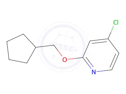 Chemical structure of 4-Chloro-2-(cyclopentylmethoxy)pyridine