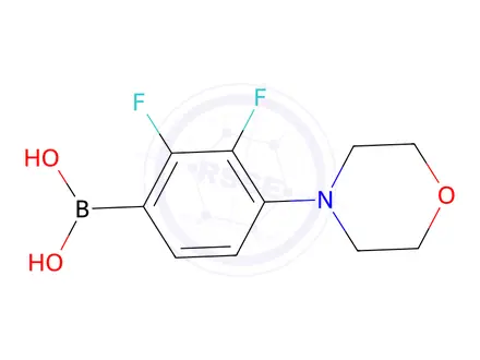 Chemical structure of 2,3-Difluoro-4-morpholinophenylboronic acid