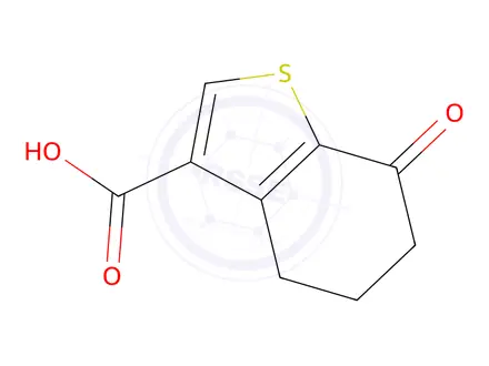 Chemical structure of 7-oxo-4,5,6,7-tetrahydro-1-benzothiophene-3-carboxylic Acid