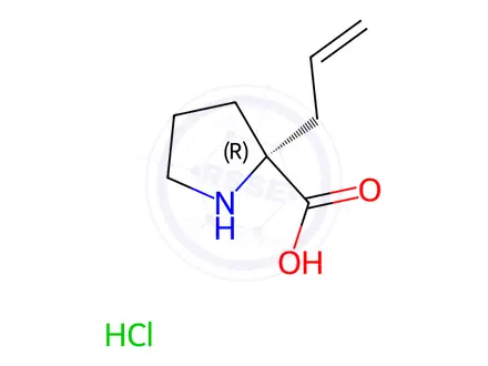 Chemical structure of (R)-Alpha-allyl-proline, HCl