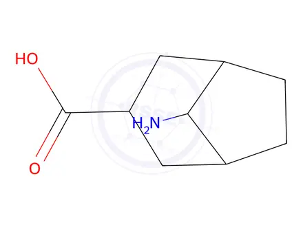 Chemical structure of 8-Aminobicyclo[3.2.1]octane-3-carboxylic acid