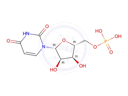 Chemical structure of 5'-uridine