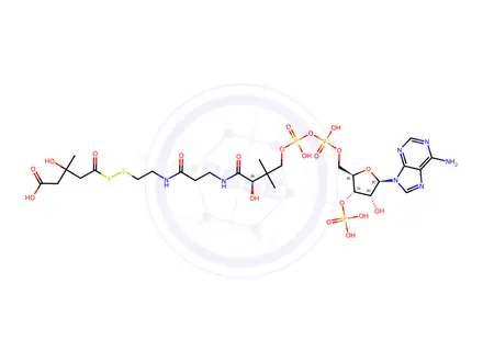 Chemical structure of 3-hydroxy-3-methylglutaryldithio-coenzyme A