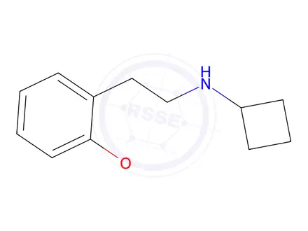 Chemical structure of N-[2-(2-Methoxyphenyl)ethyl]cyclobutanamine