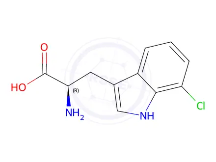 Chemical structure of (R)-2-Amino-3-(7-chloro-1H-indol-3-yl)propanoic acid hydrochloride