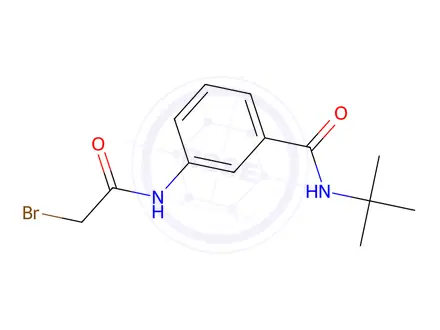 Chemical structure of 3-[(2-Bromoacetyl)amino]-N-(tert-butyl)benzamide
