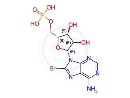 Chemical structure of 8-BROMOADENOSINE 5'-MONOPHOSPHATE