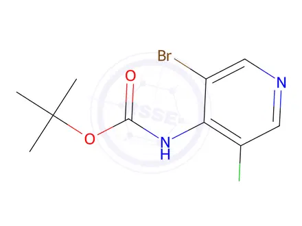 Chemical structure of tert-Butyl (3-bromo-5-chloropyridin-4-yl)carbamate