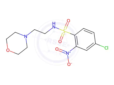Chemical structure of ((4-chloro-2-nitrophenyl)sulfonyl)(2-morpholin-4-ylethyl)amine