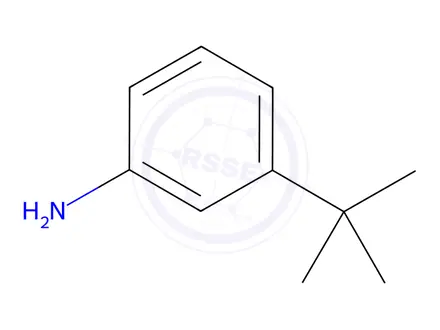 Chemical structure of 3-tert-Butylaniline