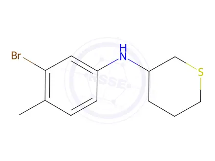Chemical structure of n-(3-Bromo-4-methylphenyl)tetrahydro-2h-thiopyran-3-amine