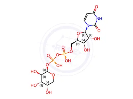 Chemical structure of UDP-β-L-Arabinose