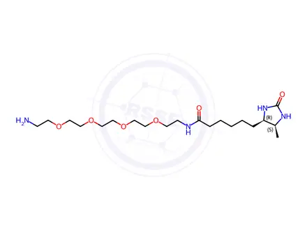 Chemical structure of N-(14-Amino-3,6,9,12-tetraoxatetradecyl)-6-((4R,5S)-5-methyl-2-oxoimidazolidin-4-yl)hexanamide
