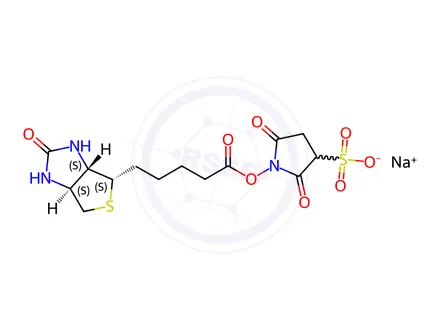 Chemical structure of Sulfo-NHS-Biotin Sodium Salt