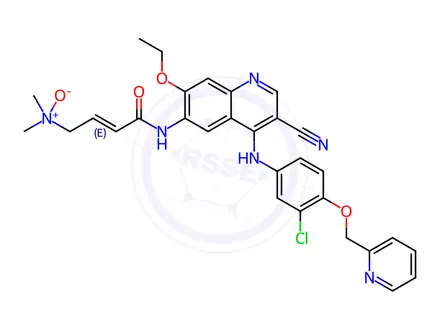 Chemical structure of Neratinib dimethylamine N-oxide