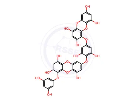 Chemical structure of Dieckol