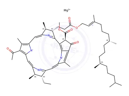 Chemical structure of Bacteriochlorophyll