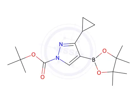 Chemical structure of tert-Butyl 3-cyclopropyl-4-(4,4,5,5-tetramethyl-1,3,2-dioxaborolan-2-yl)-1H-pyrazole-1-carboxylate