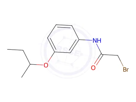 Chemical structure of 2-Bromo-N-[3-(sec-butoxy)phenyl]acetamide