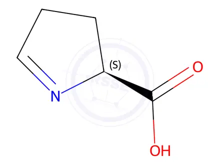 Chemical structure of (S)-1-pyrroline-5-carboxylate