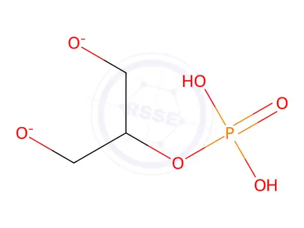 Chemical structure of ß-Glycerophosphate disodium salt hydrate